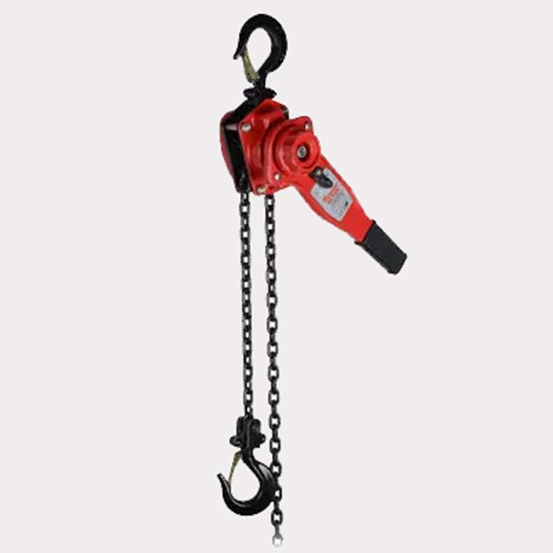 Pa lăng xích lắc tay VT-1.0